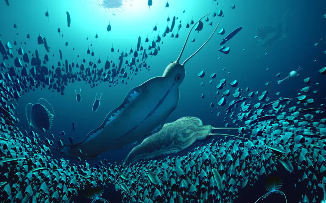 Cientistas descobrem fera marinha pré-histórica que dominou os mares há 500 mil anos!