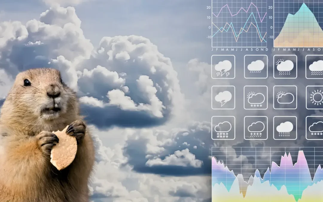 Afinal, animais e plantas conseguem fazer realmente a previsão do tempo?