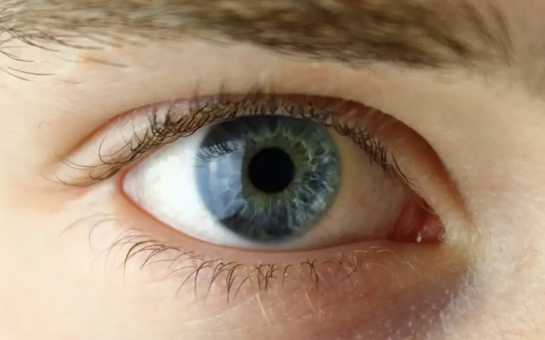 Pessoas com olhos claros podem enxergar melhor, descobre pesquisa