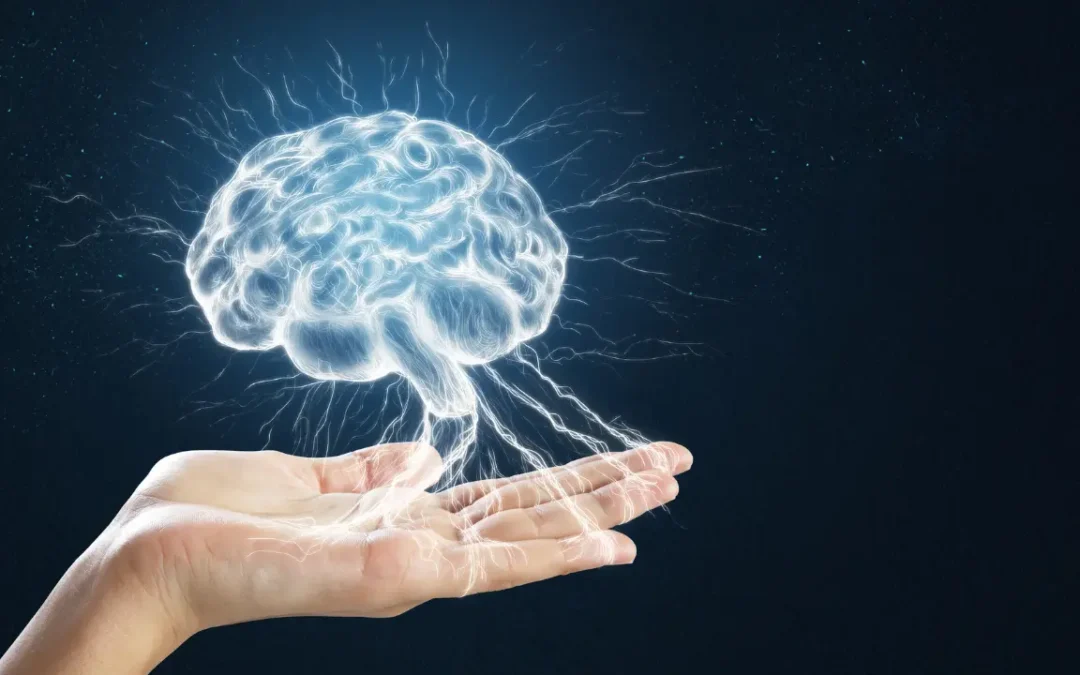 Cérebros humanos estão se expandido, diz estudo – Entenda as consequências da descoberta!