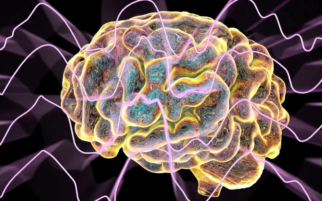 Cérebro pode armazenar quase 10 vezes mais dados do que se pensava anteriormente, diz estudo!