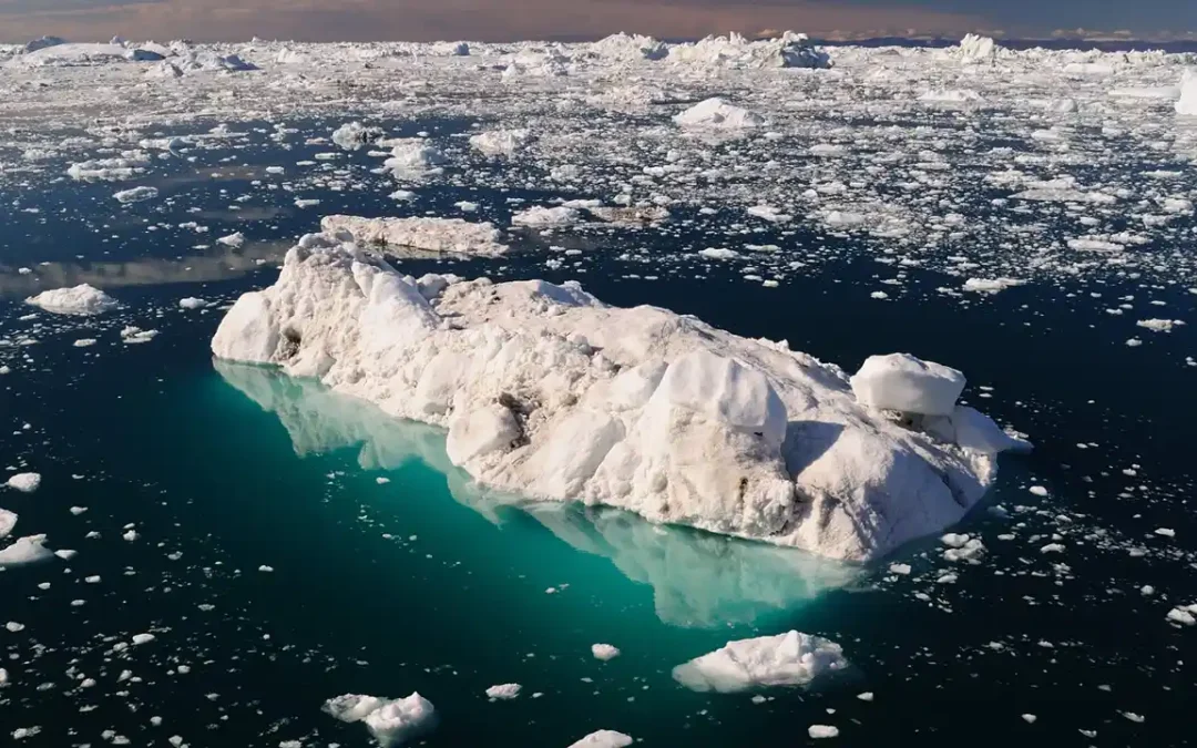 O que acontece com a vida marinha quando o mar congela?