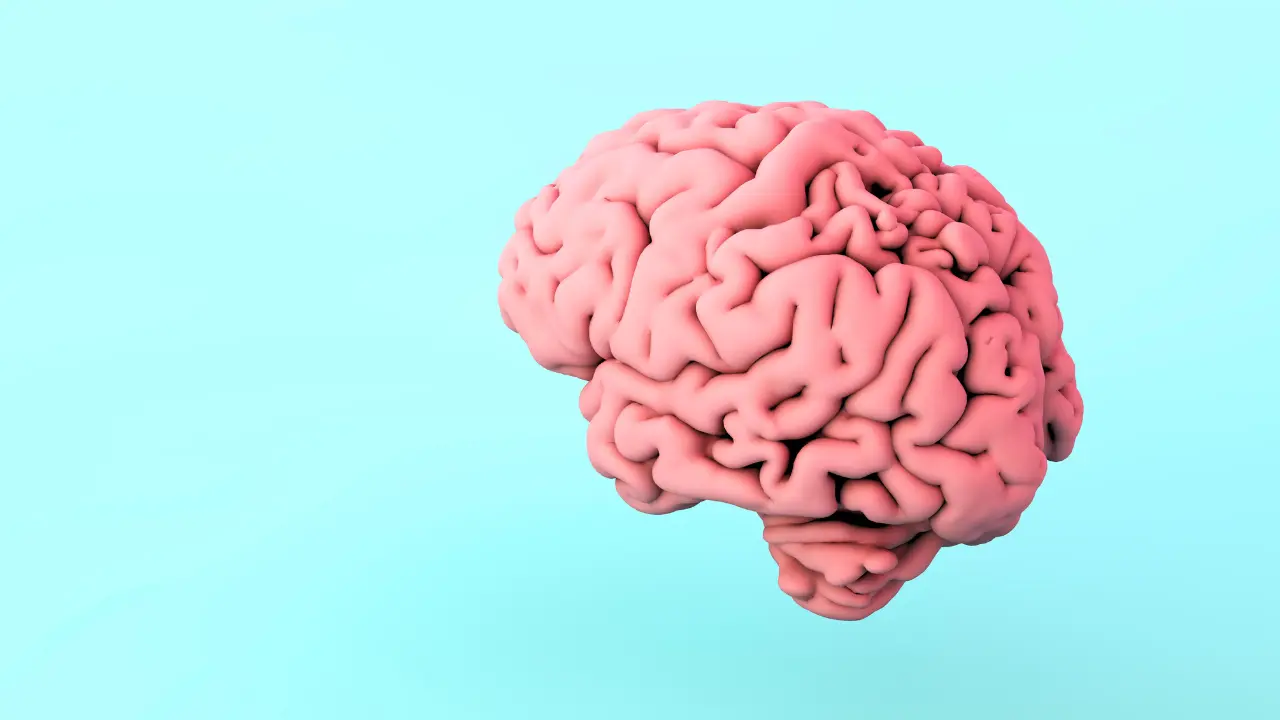 Imagem de um cérebro humano em 3D, exibido em tons de rosa contra um fundo verde-azulado. A estrutura detalhada das dobras e sulcos cerebrais é visível.